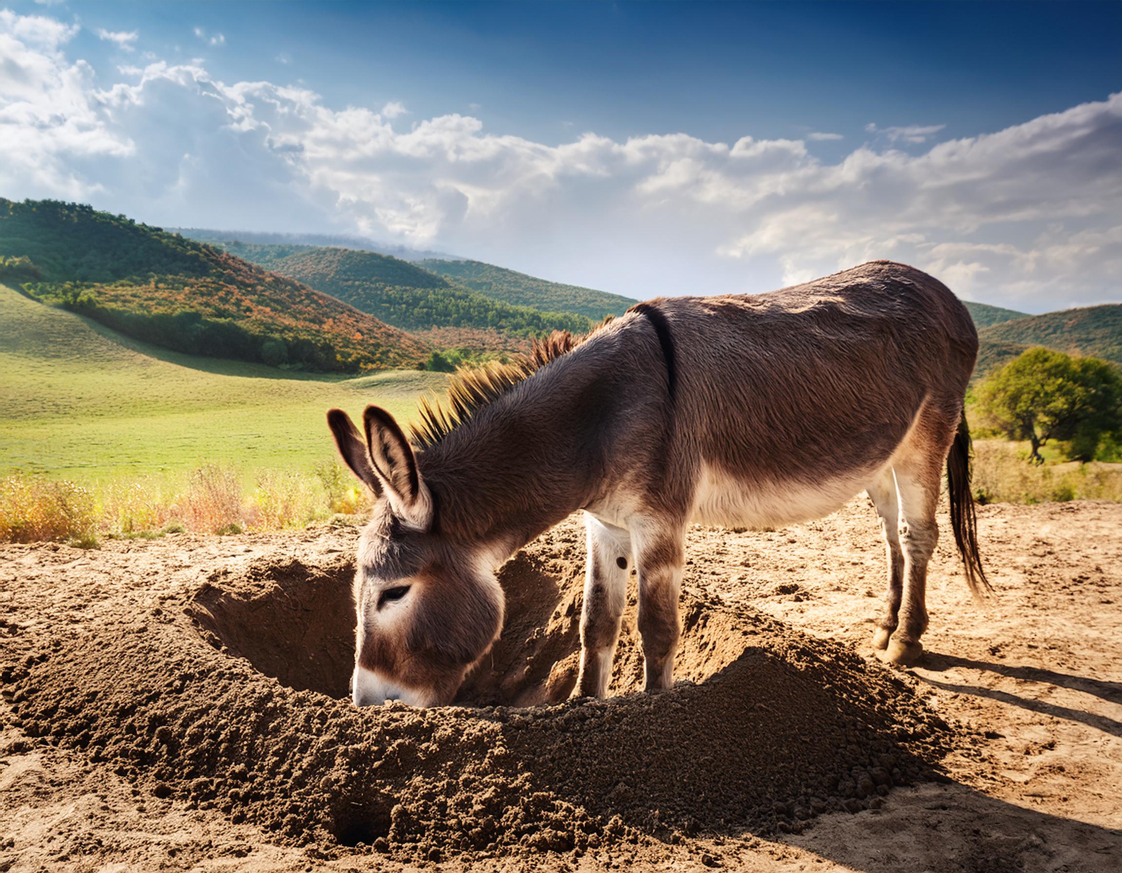 Stop Digging: A Common-Sense Wake-Up Call Image