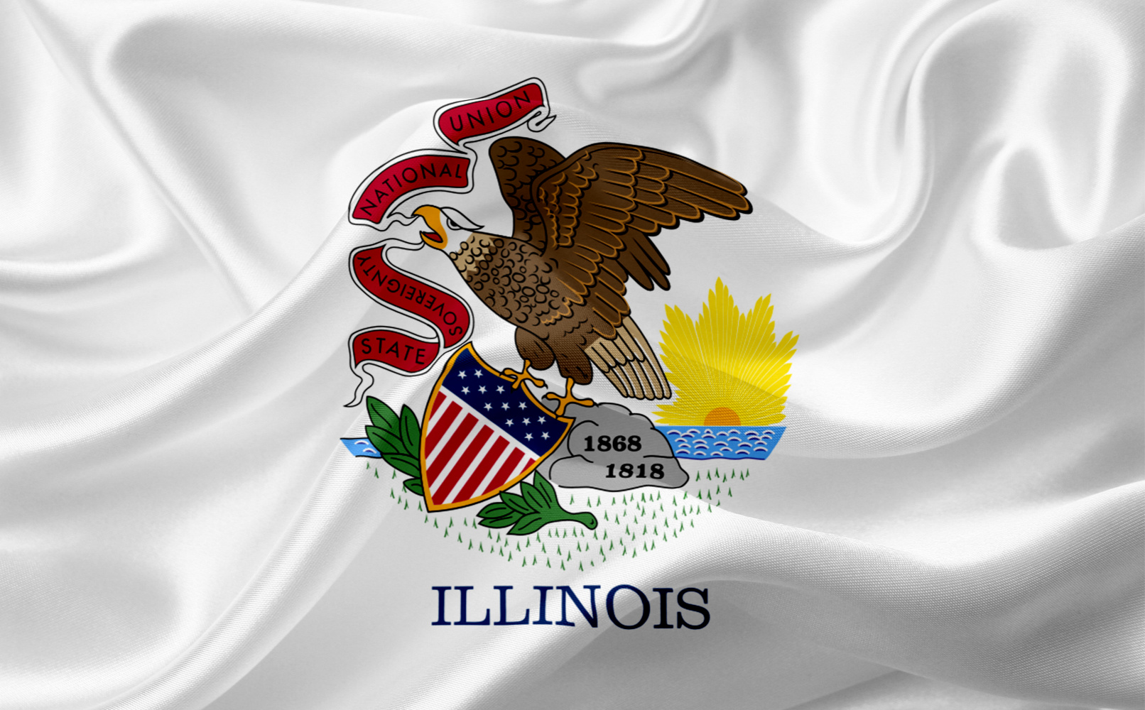 Illinois State Flag Debate: Symbol of Change or Unnecessary Expense? Image