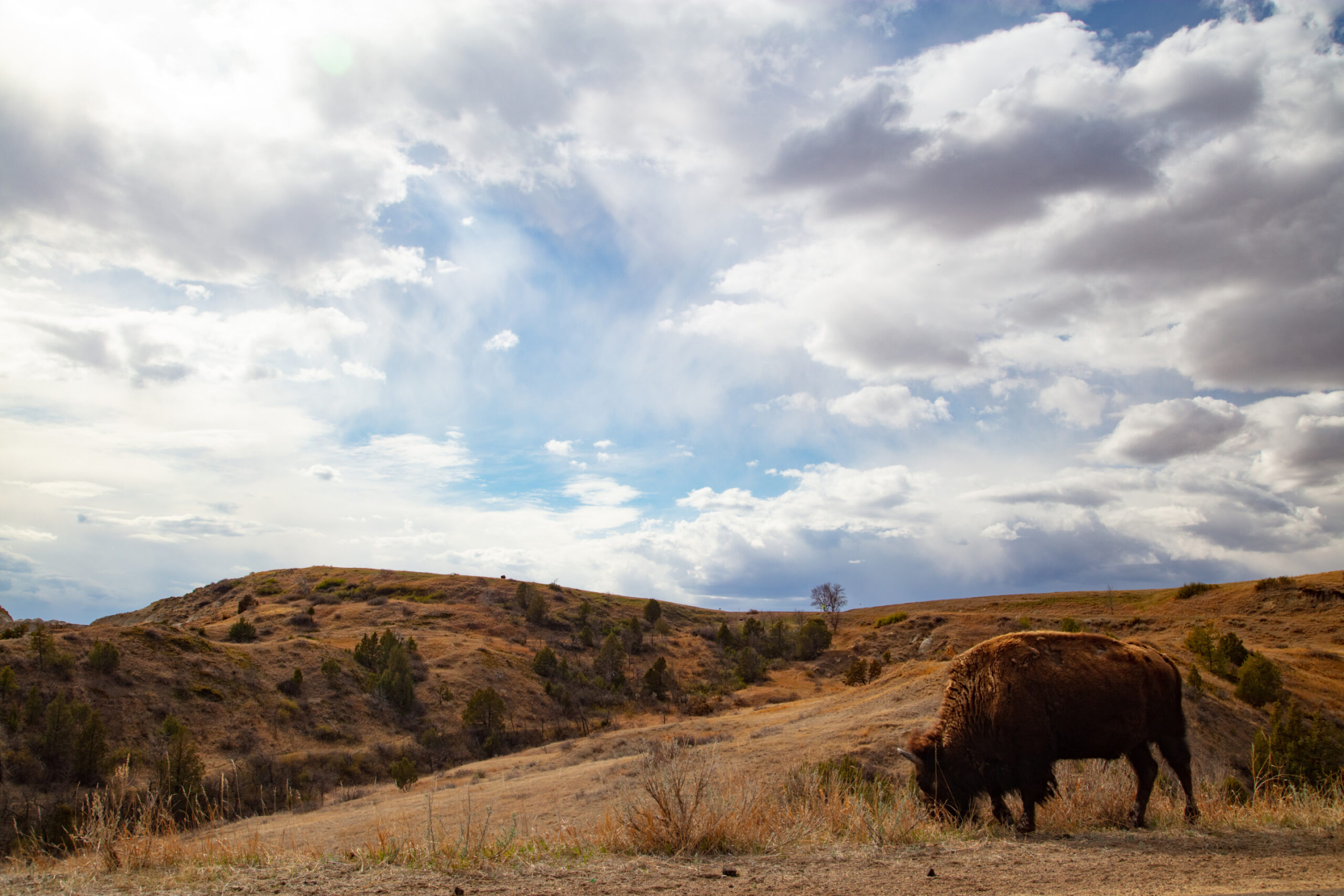 Legends of the American Spirit: Stories of Trailblazers and Innovators Image